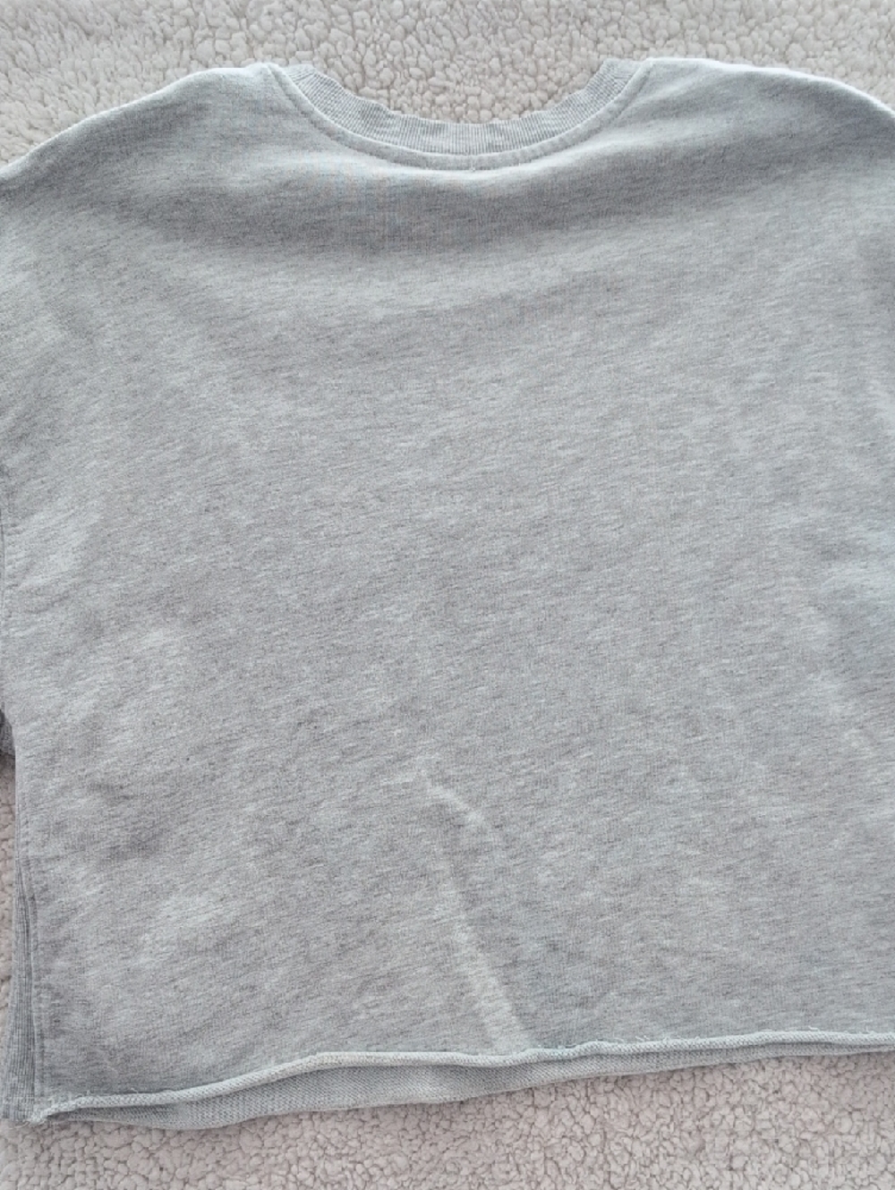Zara Heather Gray Raw-Edge Cropped Short Sleeve Crewneck Sweatshirt - Picture 6 of 6